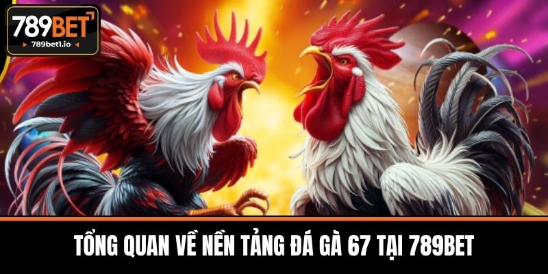 Đá Gà 67 Tại 789BET - Tổng Quan Và Luật Chơi Chi Tiết 2 Tổng Quan Về Nền Tảng Đá Gà 67 Tại 789BET