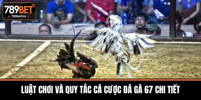 Đá Gà 67 Tại 789BET - Tổng Quan Và Luật Chơi Chi Tiết 3 Luật Chơi Và Quy Tắc Cá Cược Đá Gà 67 Chi Tiết