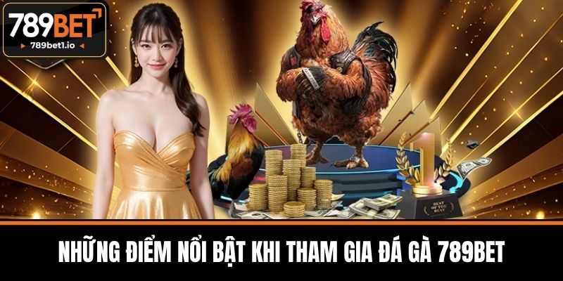Đá Gà 789BET - Cá Cược Đỉnh Cao Với Tỷ Lệ Thắng Hấp Dẫn 2 Những Điểm Nổi Bật Khi Tham Gia Đá Gà 789BET
