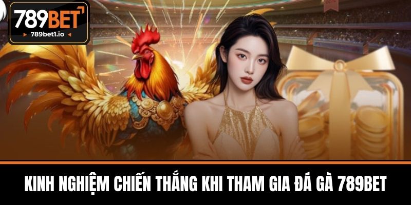 Đá Gà 789BET - Cá Cược Đỉnh Cao Với Tỷ Lệ Thắng Hấp Dẫn 3 Kinh Nghiệm Chiến Thắng Khi Tham Gia Đá Gà 789BET