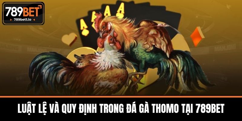 Đá Gà Thomo - Tổng Quan Nguồn Gốc Và Luật Chơi Tại 789BET 3 Luật Lệ Và Quy Định Trong Đá Gà Thomo Tại 789BET
