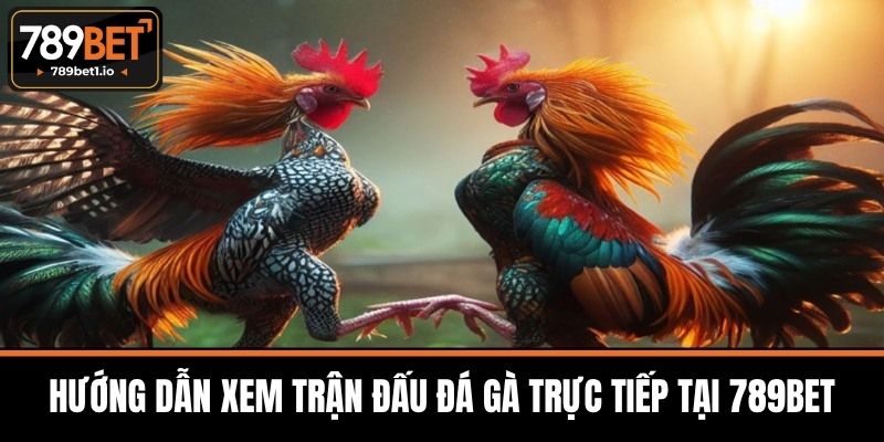 Đá Gà Trực Tiếp 789BET - Cơ Hội Khi Tham Gia Cá Cược 2 Hướng Dẫn Xem Trận Đấu Đá Gà Trực Tiếp tại 789BET