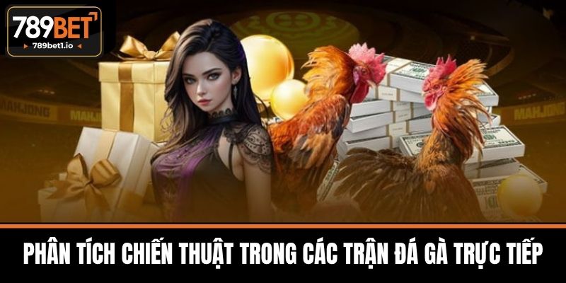 Đá Gà Trực Tiếp 789BET - Cơ Hội Khi Tham Gia Cá Cược 3 Phân Tích Chiến Thuật Trong Các Trận Đá Gà Trực Tiếp