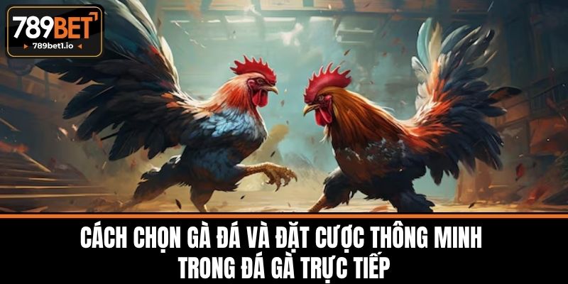 Đá Gà Trực Tiếp 789BET - Cơ Hội Khi Tham Gia Cá Cược 4 Cách Chọn Gà Đá Và Đặt Cược Thông Minh Trong Đá Gà Trực Tiếp