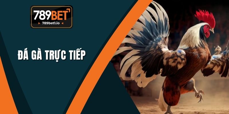 Đá Gà Trực Tiếp 789BET - Cơ Hội Khi Tham Gia Cá Cược